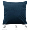 Velvet Cushion Cover